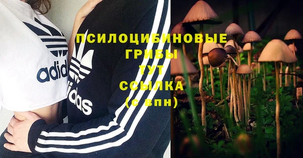 гашиш Вязьма