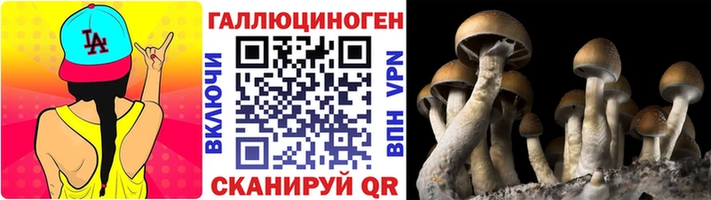 Галлюциногенные грибы MAGIC MUSHROOMS  Купить  Кодинск 